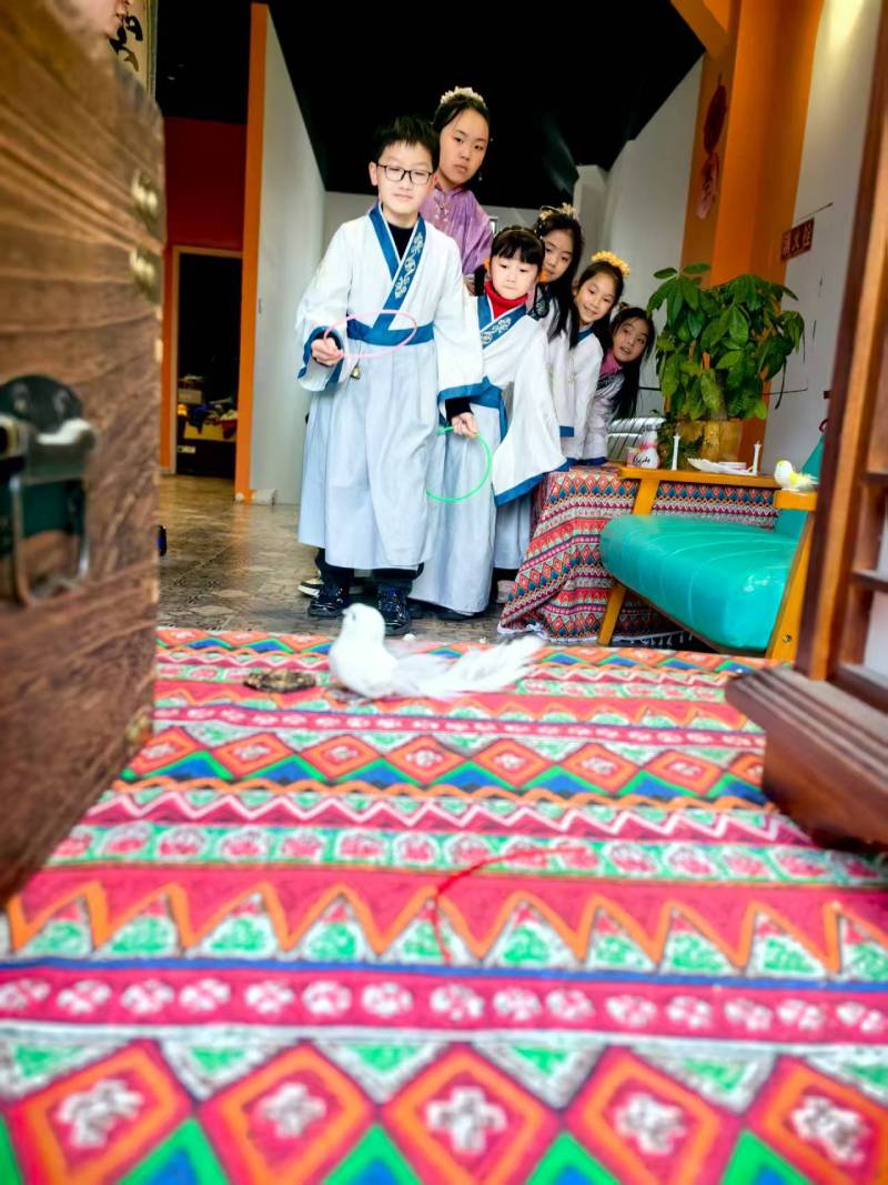 海南藏族文旅项目策划